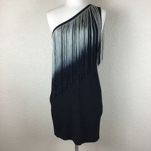Zara One Shoulder Flapper Fringe Cocktail Dress M